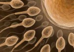 clinicas-de-fertilizacao-humana-resende-1354804747