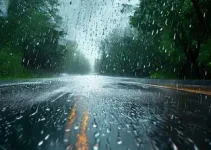 pancadas fortes e rápidas