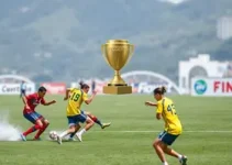 copa rio sul de futsal