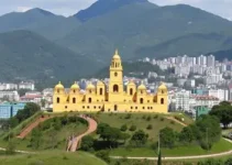 Programa Saúde Na Escola