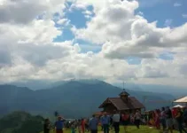 Festa do Pinhão