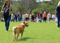 Amicão Saúde Animal