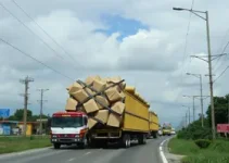 carga excedente