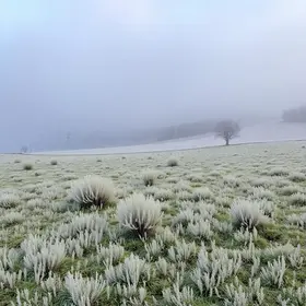 alerta de geada