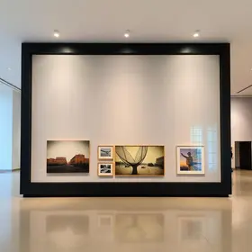 Museu De Arte Moderna
