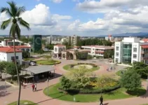 Revitalização Praça Itapuca