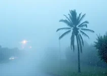 alerta severo de vendaval