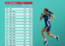 ginástica de trampolim