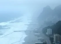 alerta de vento