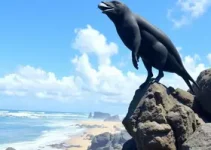 Expo Agulhas Negras 2027