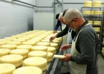 Produção De Queijo