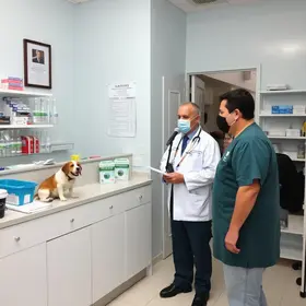 Farmácia Veterinária